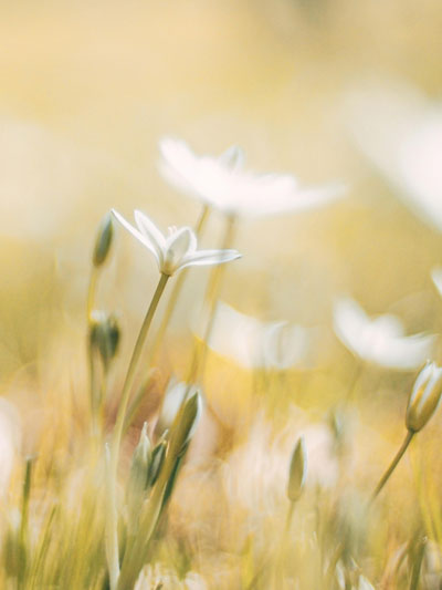 sfeerafbeelding van Psycholoog Hoofddorp